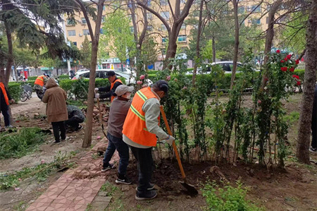 “美化社区齐上阵 种花植绿焕新颜”党员志愿服务活动1.jpg